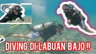 PERTAMA KALI DIVING DI LABUAN BAJO ‼️