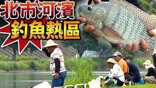 【 雙溪河濱釣魚趣成蘆頭鰱逆襲記】投石問路戰法攻略