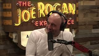 Joe Rogan Experience #1743 - Stephen Pinker