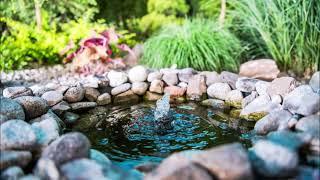 Relaxing Outdoor Fish Water Pond In Garden