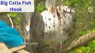 Amazing Big Catla Fish Hook video in Kustia