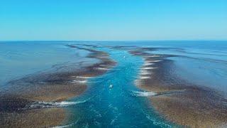 Kimberley PT 3 Exploring Montgomery Reef Australias Largest Inshore Reef