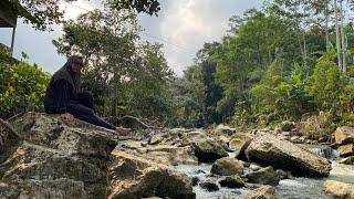 BETAH BANGET  SUASANA SORE HARI INI DI PERKAMPUNGAN DI DEKAT SUNGAI DAN SAWAH PELOSOK TASIKMALAYA