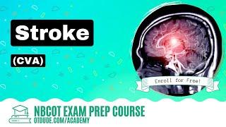 Stroke CVA  NBCOT Exam Prep  OT Dude Academy