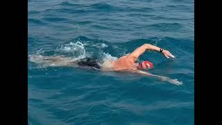 HOW to SWIM in OPEN WATER in all Conditions