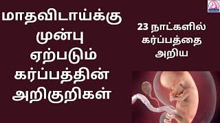 Early pregnancy symptoms before missed periods in Tamil  pregnancy symptoms in Tamil l MalligaTamil