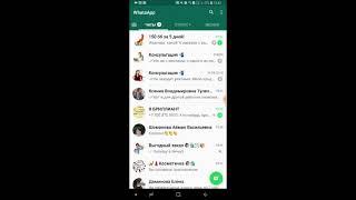 Как создать рассылку в WhatsApp