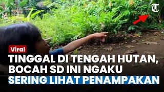 Hidup Menyendiri di Tengah Hutan Bocah SD dan Orang Tuanya Ngaku Sering Lihat Penampakan