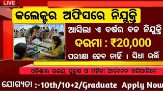 Collector Office New Recruitment 2024 Odisha  Odisha Free Job Alert 2024  Odisha Job Updates