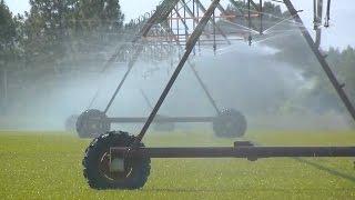 Modern Efficient Irrigation Systems Save Money For Farmers
