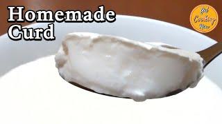 Thick & Creamy Homemade Curd Recipe  Easy Curd Recipe with 2 ingredients  Dahi Recipe