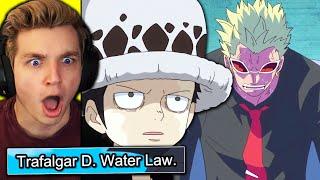 LAWS REAL NAME REVEALED one piece reaction