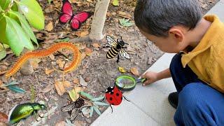 Bug Hunt Adventure with Jeremy  Lots of cool bugs Outdoor Fun