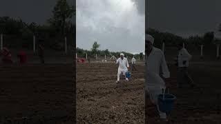 નવો વિડિયો કાલે આવી રહ્યો છે. #farmer #farming #farmerlife #village #villagelife @Blvadivlog#song