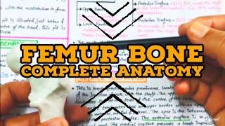 Femur bone - Complete Anatomy - Easiest explanation in Hindi