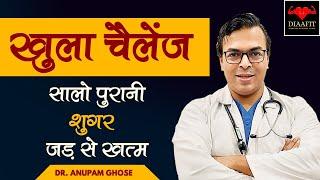 शुगरमोटापा को जड़ से खत्म करने का उपाय DIAAFIT DIET  Insulin Resistance क्या हैं?  DIAAFIT