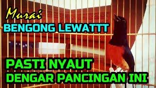 MURAI BENGONG LEWATTTPasti NYAUT Dengar Pancingan iniBUKTIKAN SENDIRI