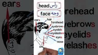 Head and Face parts أجزاء الرأس والوجه بالإنجليزي  #shorts