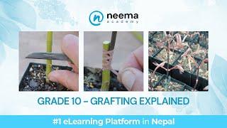 Grafting and its Types  Class 10 Botany  Neema eLearning by Neema Academy