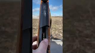 Russian Mosin Nagant shoot 7.62x54r