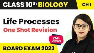 Life Processes Class 10 Science Biology One Shot  Life Processes Class 10 Science Biology 2022-23