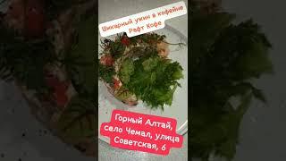 Алтай. Чемал. Кафе Рафт-Кофе ул. Советская 6. Здесь всегда вкусно #алтай Где поесть в Чемале