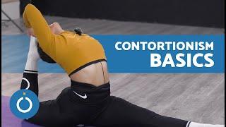Beginners CONTORTIONISM Tutorial   3 Exercises to Increase Flexibility