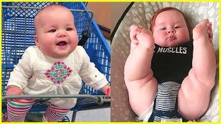 TOP Cutest Chubby babies will melt your heart 