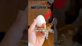 The Egg Challenge with Newfoundland Dog... 