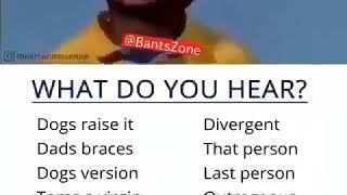 WHAT DO YOU GUYS HEAR ???