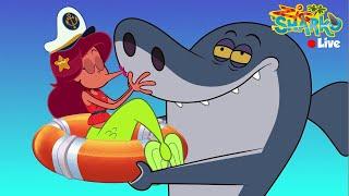 NEW  ZIG & SHARKO 3  LIVE CARTOON   NEW SEASON & EPISODES