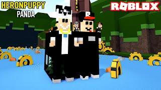 Heronpuppy ve Panda Gemisi Yaptık - Panda ile Roblox Build A Boat For Treasure