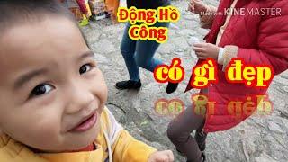 Động hồ công