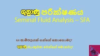 ශුක්‍රාණු පරීක්ෂණය Seminal Fluid Analysis – SFA