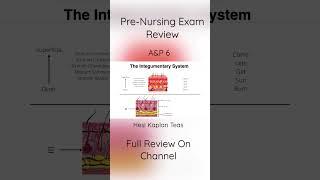 Pre-Nursing Exam Review Anatomy Physiology Part 6