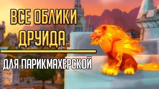 ПОЛУЧЕНИЕ ВСЕХ ОБЛИКОВ в парикмахерскую для друида в World of Warcraft Кастомизация обликов друида