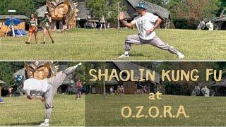 Shaolin Kung Fu Hungary