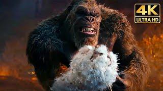 All King Kong Vs Titans Fights & Death Scenes 2024 Godzilla x Kong Movie