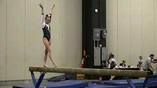 20 times when Whitney Bjerken fell in competition