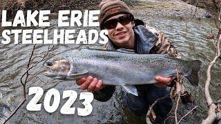 Lake Erie STEELHEAD Fishing 2023 SMALL Tributaries