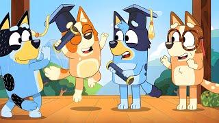 Bluey & Bingos College Graduation And How They Grew Up