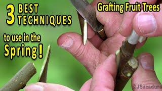 Grafting Fruit Trees  The 3 BEST Grafting Techniques for SPRING