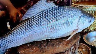 Rohu Fish Cutting  Big Live Rohui Fish Cutting in Bangladesh  Fish Cutting Skills