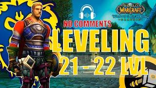 WOTLK Classic Leveling Alliance Guide Paladin 21-22 One hour preparation WoW 4KASMR