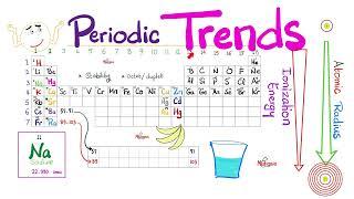 Periodic Trends - Atomic Radius Electronegativity Ionization Energy - Chemistry Series