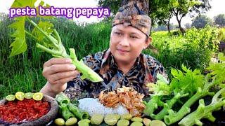 mukbang lalap batang pepaya mentah jengkol muda sambal terasi ikan asin kriuk eating papaya tree