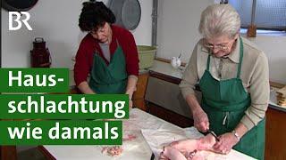 Hausschlachtung in Franken Schweine schlachten mit traditionellem Metzgerhandwerk  Unser Land
