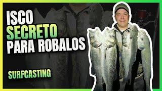 Isco Secreto para Robalo lubina Surfcating