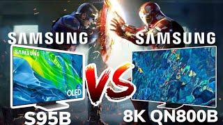 Samsung S95B VS Samsung QN800B