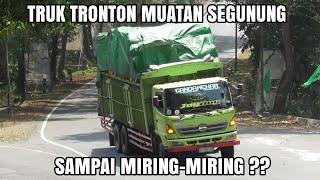 Truk Tronton Muatan Overload Hino Lohan FM 260 Ti Isuzu Giga Muatan Semen Nanjak Sangat Santai